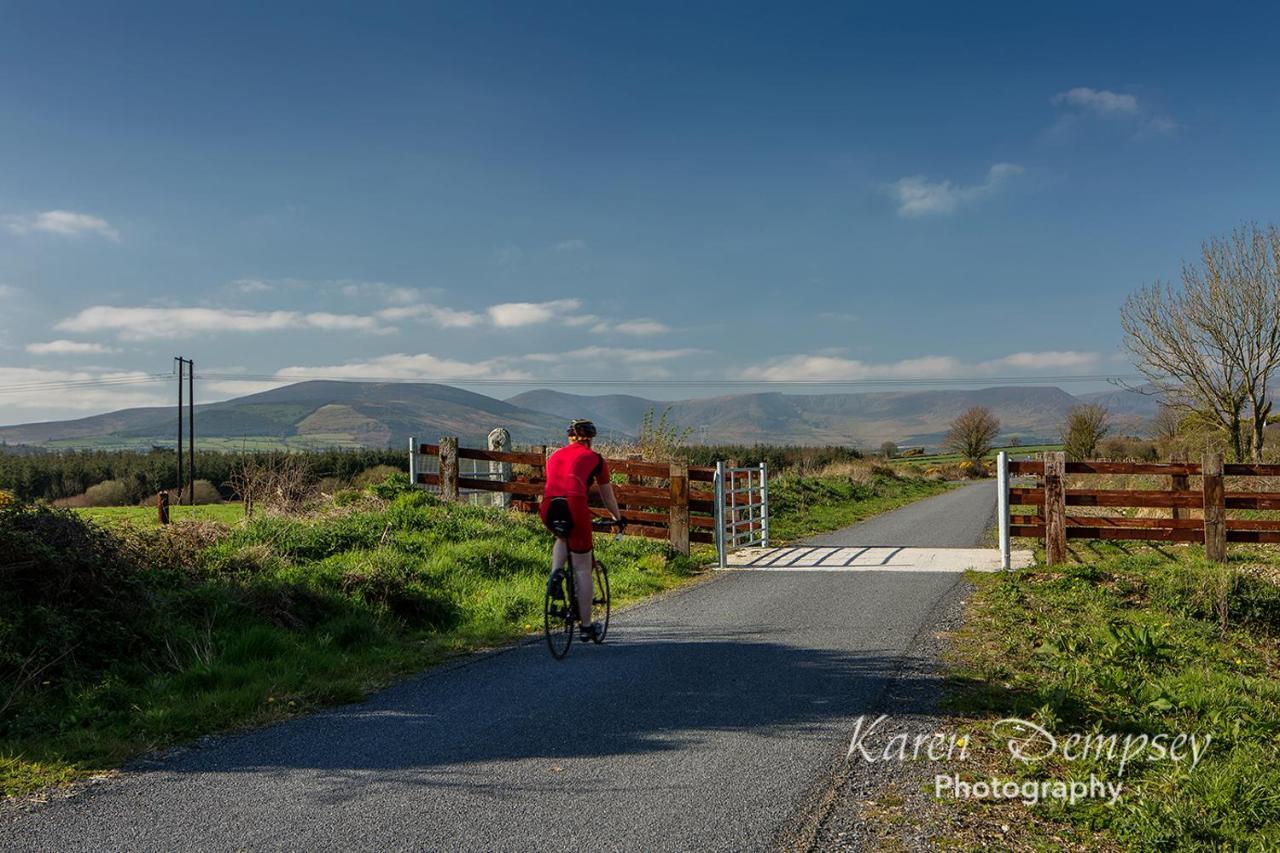 Coolcormack Stud B&B Dungarvan  Esterno foto