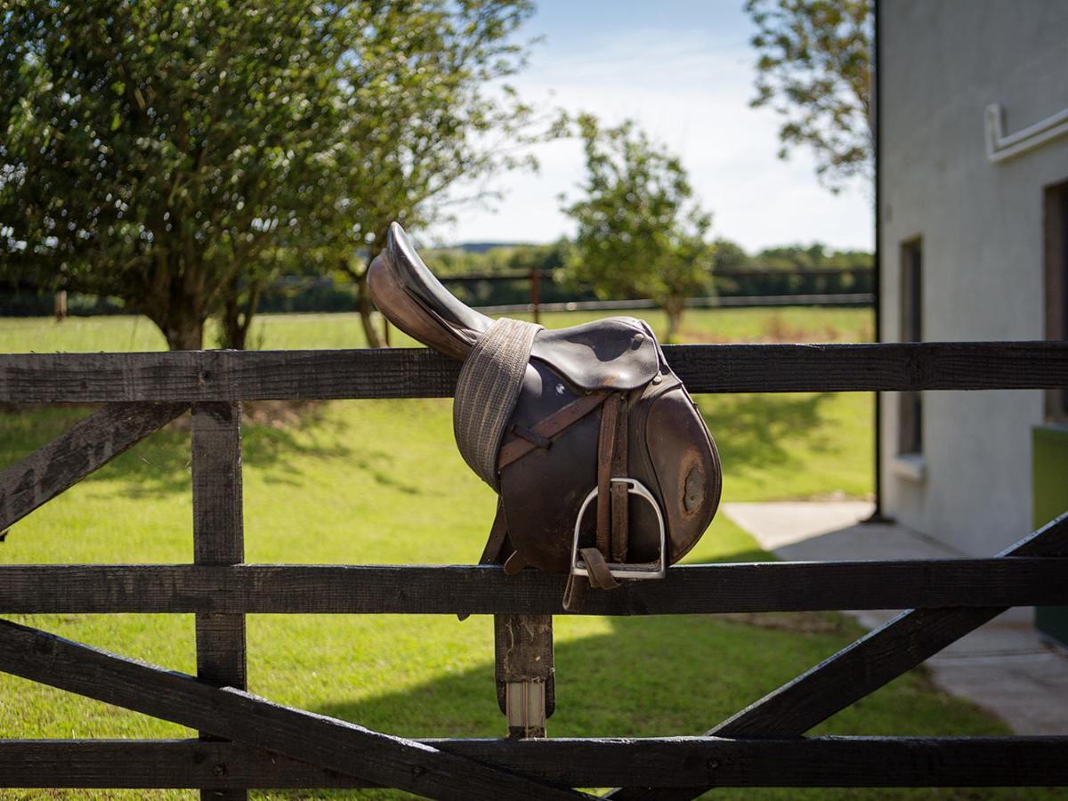 Coolcormack Stud B&B Dungarvan  Esterno foto