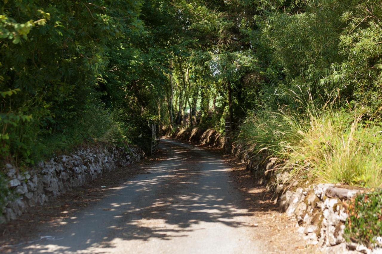 Coolcormack Stud B&B Dungarvan  Esterno foto
